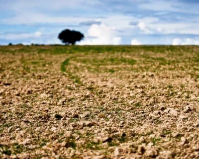 FAABA reclama junto do Ministério da Agricultura medidas urgentes de combate à seca no Alentejo