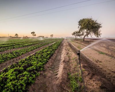 FAABA reclama ética e honestidade intelectual em defesa do setor agrícola
