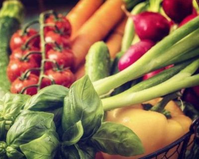 Exportações do setor agroalimentar continuam a crescer