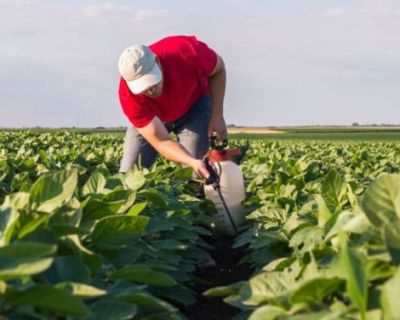 Política Agrícola Comum: PE aprova regras transitórias e ajuda de 8 mil milhões de euros