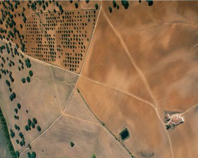 Recenseamento Agrícola – primeiros resultados