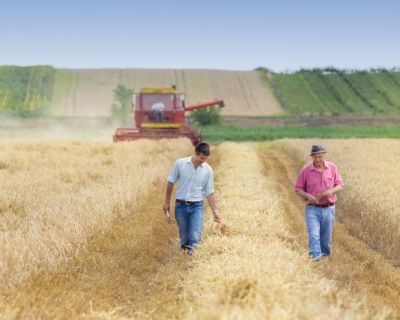 Carta Aberta à Senhora Ministra da Agricultura e Alimentação | Proposta de medidas para a Declaração de Situação de Alerta contra incêndios no Alentejo