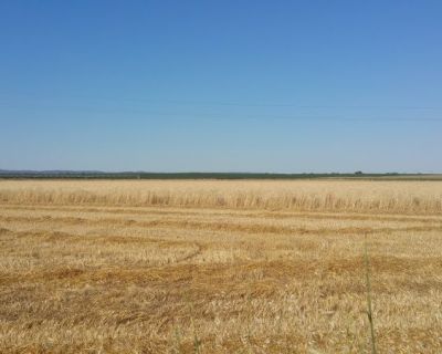 FAABA envia Carta Aberta a Ministra da Agricultura sobre regadio e falta de medidas para mitigar a seca