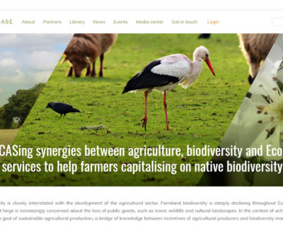 Projeto “SHOWCASE”