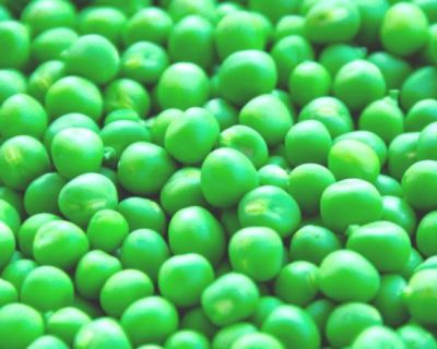 Federação das Associações de Agricultores do Baixo Alentejo reivindica reposição dos apoios à horticultura e apela à revisão urgente das medidas de apoio às culturas em regime de sequeiro